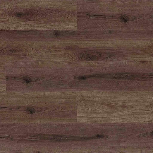 [T15-SPC01-00102] BILBAO Tawny