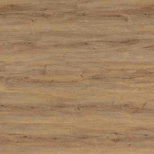 [T15-SPC01-03884] BILBAO Natural