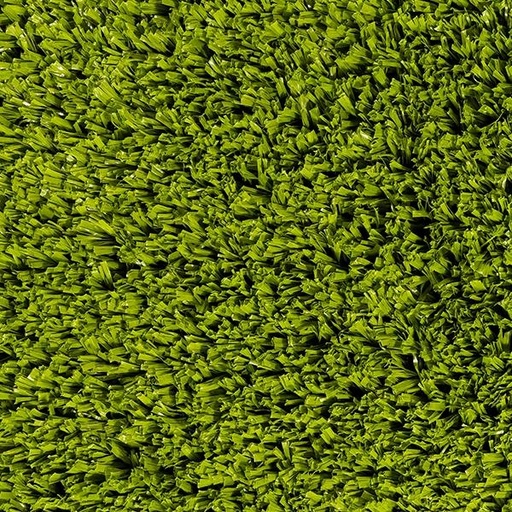 [T01-N3155-05732] PLAYGROUND PEAR GREEN