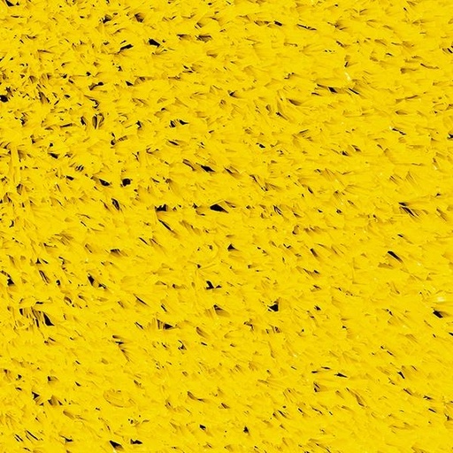 [T01-N3155-05798] PLAYGROUND YELLOW