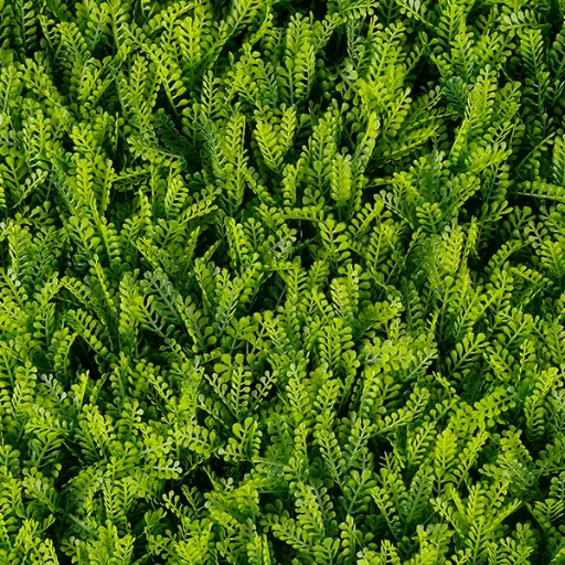 [T20-GA017-00010] Rainforest