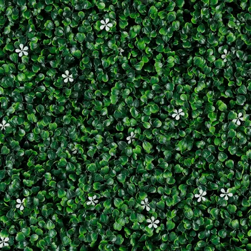 [T20-GA036-00009] Jasmine
