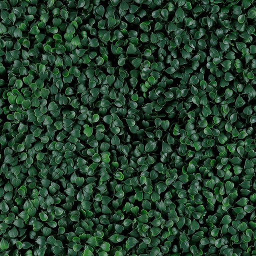 [T20-GA001-00001] Green Boxus