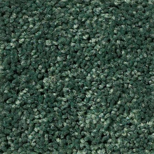 [T02-0C010-00340] TAKE PART 12 GOING GREEN