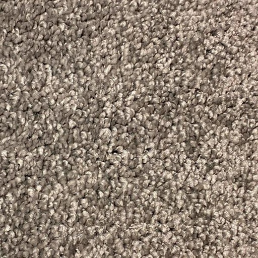 [T01-C0491-00209] SERENE NATURAL GRAY