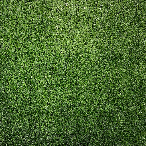 [T01-C0127-012015] PASTO VIENNA GREEN
