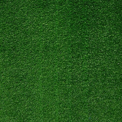 [T01-C0126-05406] PASTO PADDLE VERDE C/LINEA BLANCA