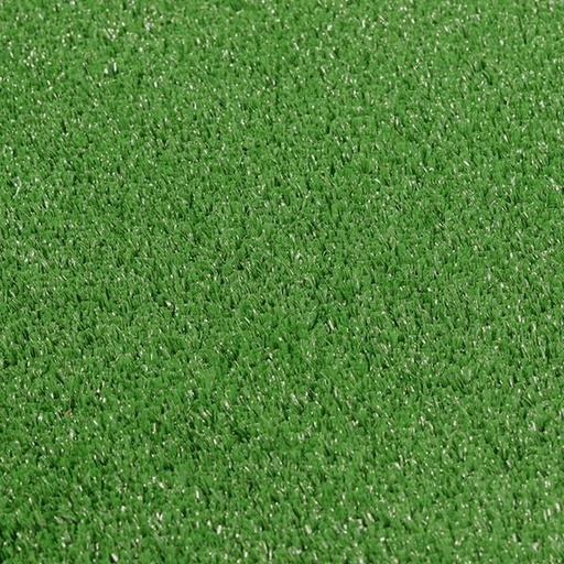 [T01-C0126-04663] PASTO PADDLE GREEN