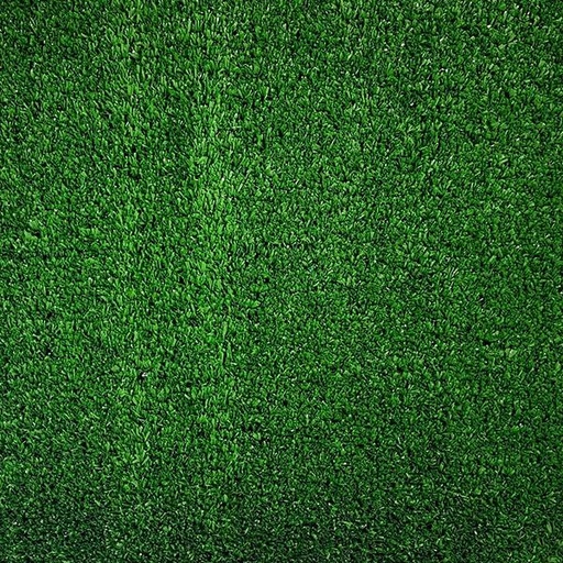 [T01-C0121-04663] PASTO EAGLE GREEN
