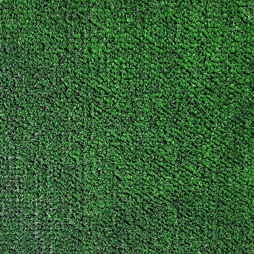 [T01-C0120-04663] PASTO BIRDIE GREEN