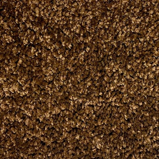 [T01-C0511-03390] OXFORD II AMBER BROWN