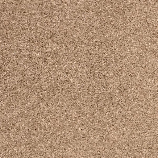 [T01-C0511-00397] OXFORD II OYSTER