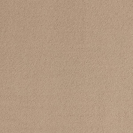[T01-C0451-00304] ORIGINS POWDER