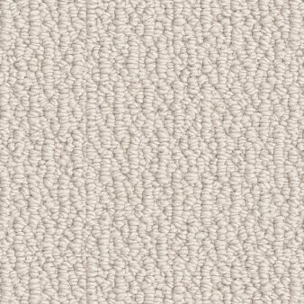 [T02-C0452-00103] LOOP DE LOOP CANVAS