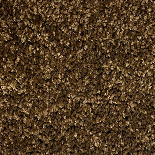 [T01-C0541-03390] KINGDOM AMBER BROWN