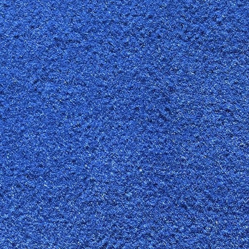 [T01-C0272-02546] INVASOR AZUL