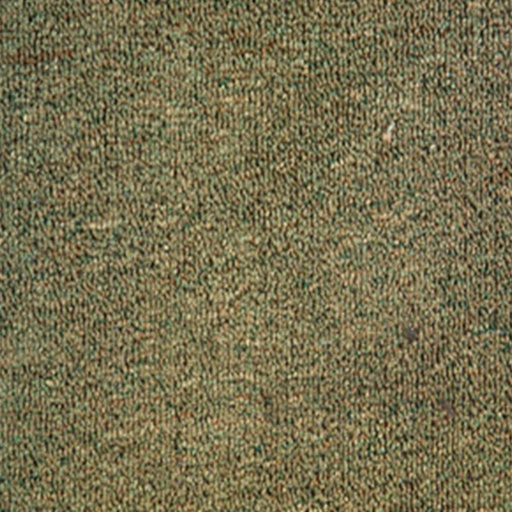 [T01-00002-02436] GUERRERO-SPRINT MUSGO