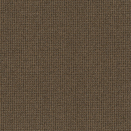 [T02-54823-00710] CORPORATE SOLUTIONS II SAVANNA
