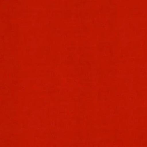[T01-C3264-05993] CENTINELA ROMANO