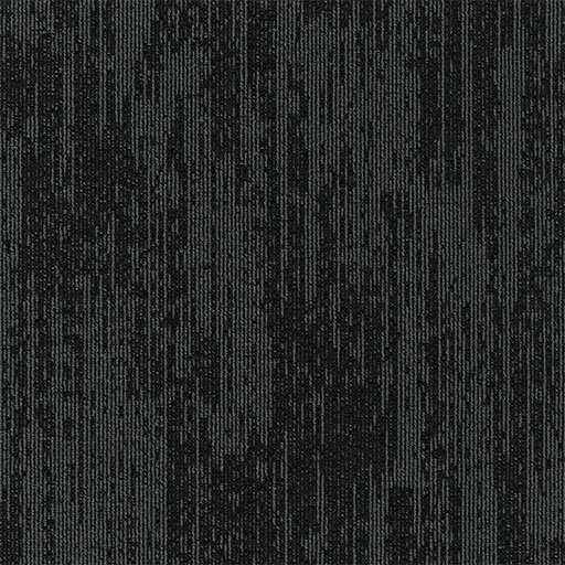[6653B] Podcast® 6653B