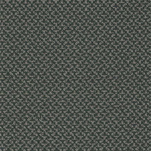 [3053B] Outlaw Broadloom 3053B