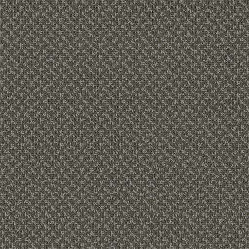 [3053B] Outlaw Broadloom 3053B