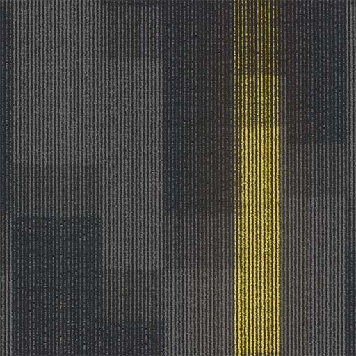 [7054T] Magnify 7054T
