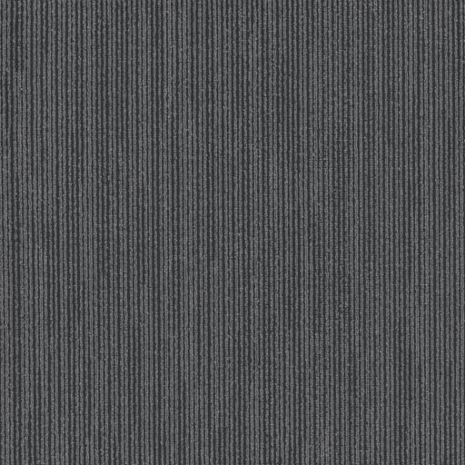 [7095T] Influencer 7095T